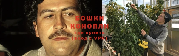 прущие грибы Инсар