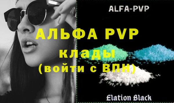 прущие грибы Инсар