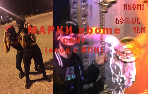 прущие грибы Инсар