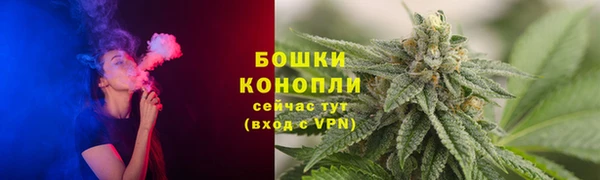 прущие грибы Инсар