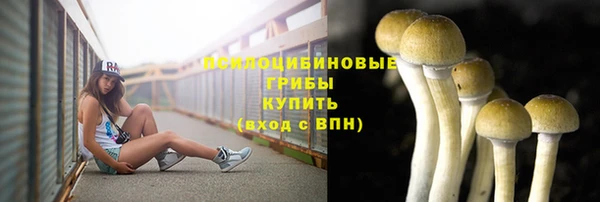 марихуана Инта