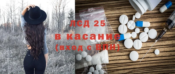 прущие грибы Инсар