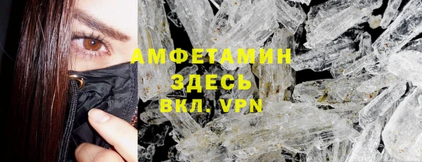 прущие грибы Инсар