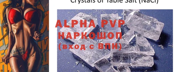 прущие грибы Инсар