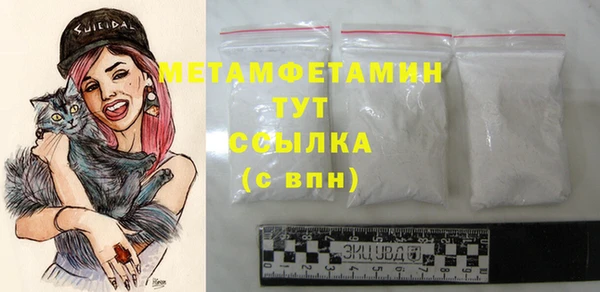 прущие грибы Инсар